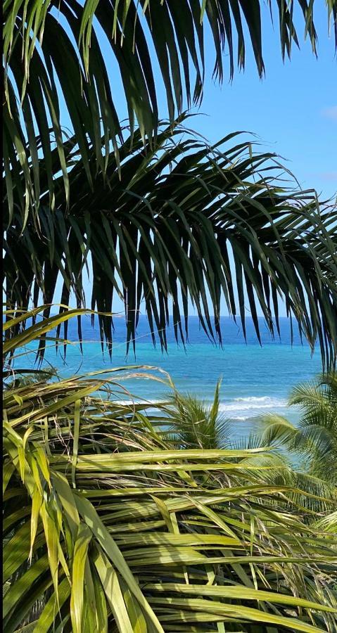 Spring Garden Mobay Resort Montego Bay Eksteriør billede